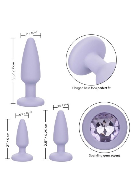 Crystal Booty Kit Purple Crystal Booty Kit Purple
