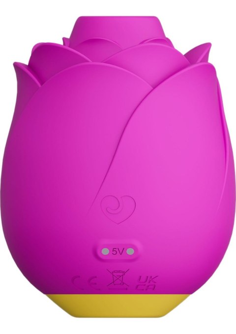 ROMP Rose - PINK ROMP Rose - PINK