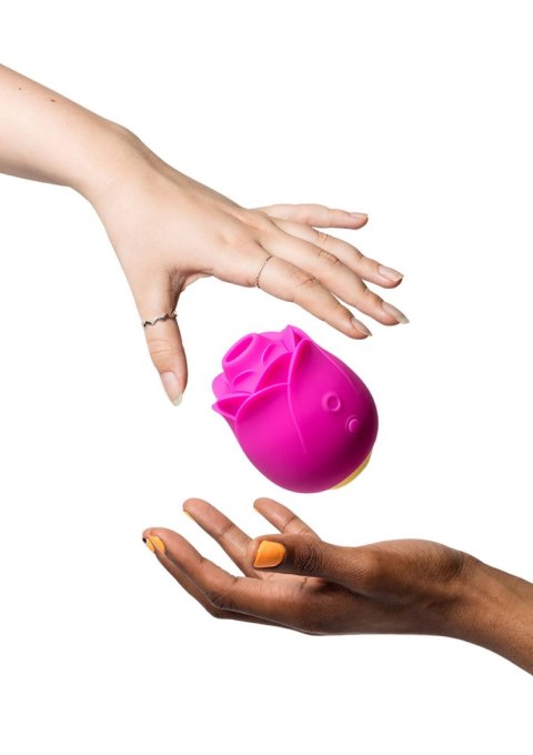 ROMP Rose - PINK ROMP Rose - PINK