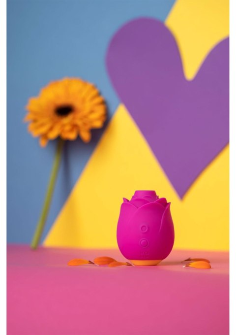 ROMP Rose - PINK ROMP Rose - PINK