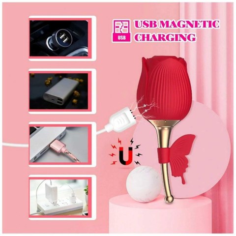 Flirting Partner USB 10 functions Flirting Partner USB 10 functions