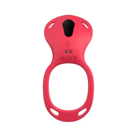 Teazers - Wearable Clitoral Stimulator Harness - Red