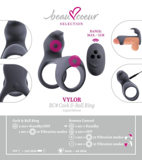 Beau coeur Vylor RC