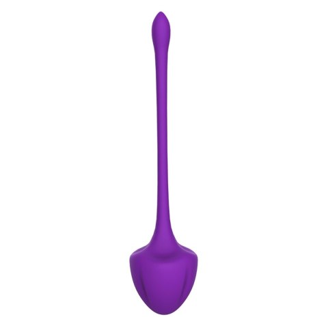 Virgo purple