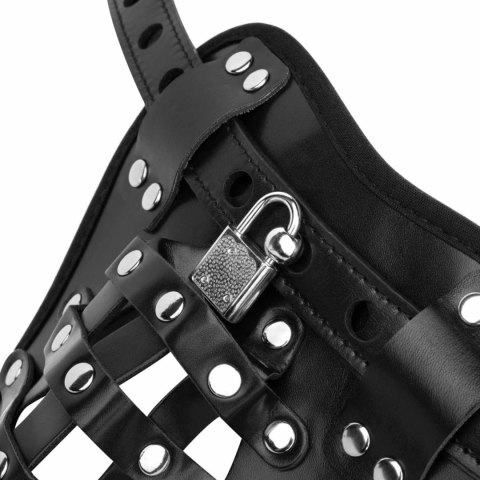 Bedroom Fantasies - Chastity Cage Panty Black