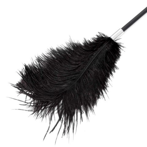 Fetish B-Series Tickler & Whip 1.0