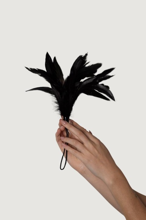 Adrien Lastic Feather Tickler Black