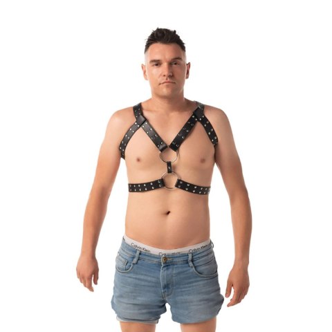 Chest harness