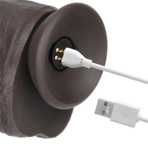 10" Vibrating Sliding Skin Pro II Silicone Dong (Black)