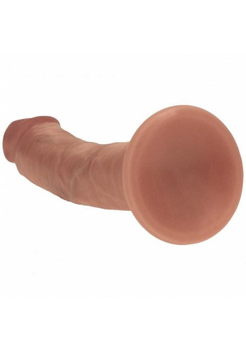 Dual Density Silicone Curved Realistic Dildo with Suction Cup - 8" / 20,5 cm - Tan